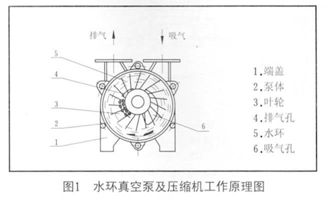 圖1 水環(huán)真空泵及壓縮機(jī)工作原理圖 圖1 水環(huán)真空泵及壓縮機(jī)工作原理圖